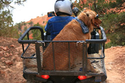 Dusty Dogs ATV Dog Box